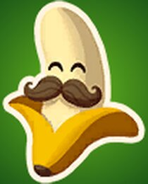 Bananas