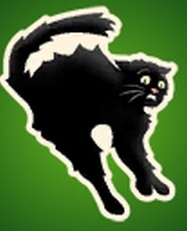Black Cat
