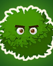 Bush