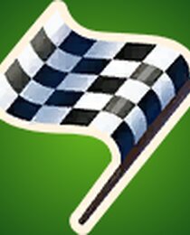 Checkered Flag