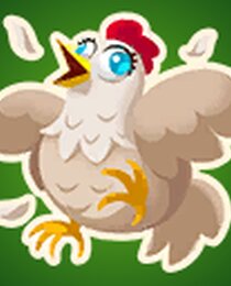 Chicken
