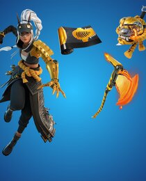 Tiger's Eye Bundle