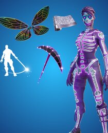 DYLEXA'S LOCKER BUNDLE