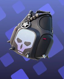 Expert's Bonebag