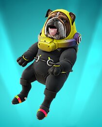 Rocket-Ready Roscoe