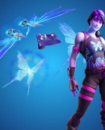 Dream Bundle