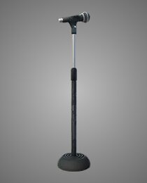 The Mic