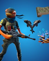 Triggerfish Bundle