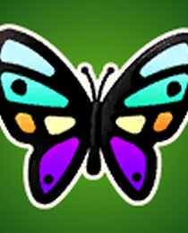 Rainbowfly