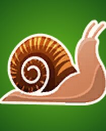 Snail