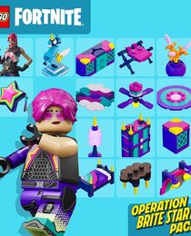 Operation Brite Starter Pack