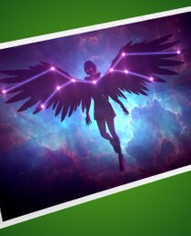 Constellation's Wings