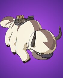 Appa