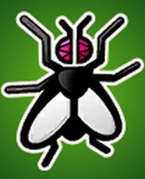 The Fly