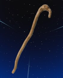 Yoda's Cane