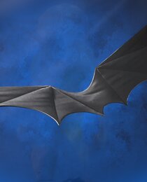 Batglider