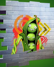 Pea Bois Ready
