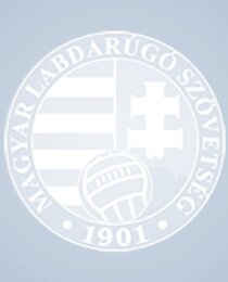 Hungary (Adidas)