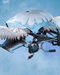 Frozen Feathers