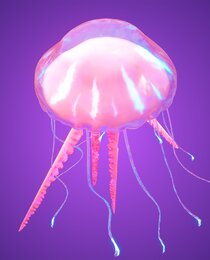 Man O' War