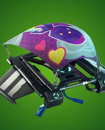 Payload