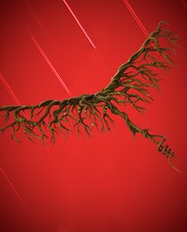Root Wing