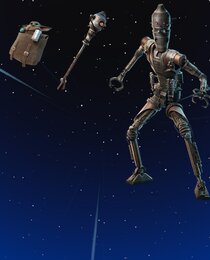 IG-11 Bundle