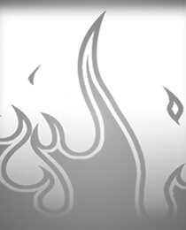 Wildfire
