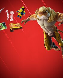 Meowtooth Bundle