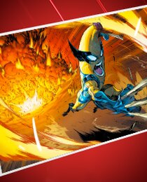 Nanamantium Fury