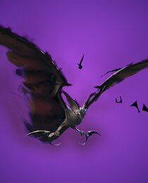 Swarm