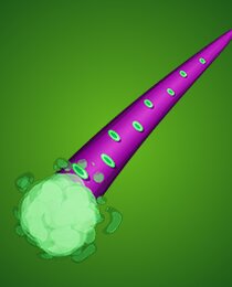 Octonox