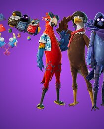 Flocked Together Bundle