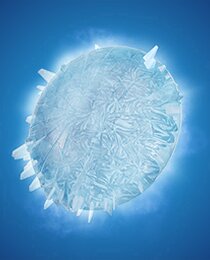 Frozone's Shield