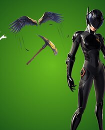 Fixx's Locker Bundle