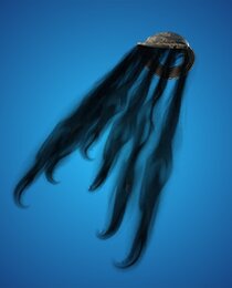 Shadow Shroud