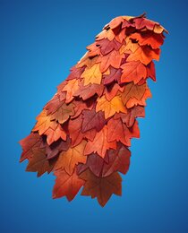 Autumn's Mantle