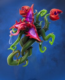 Back Bloom