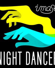 NIGHT DANCER