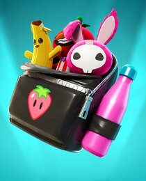 Buddy Bag