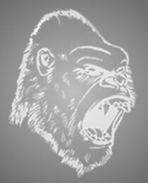 Kong