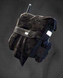 Dark Paradigm