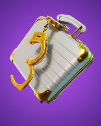 Double Agent Hard Case
