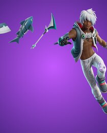 Finn Maw Bundle