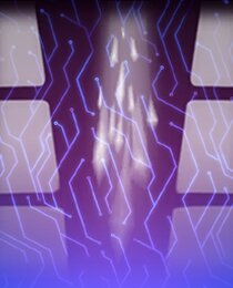 Lin Kuei Wrapped