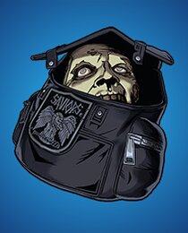 Walker's Headcase