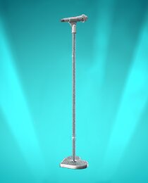 Sabrina's Mic
