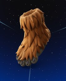 Wookiee Feet