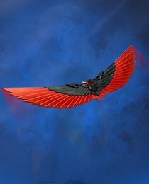 Red Robin's Wings