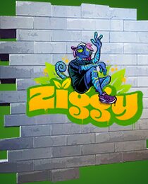 Ziggy Insignia